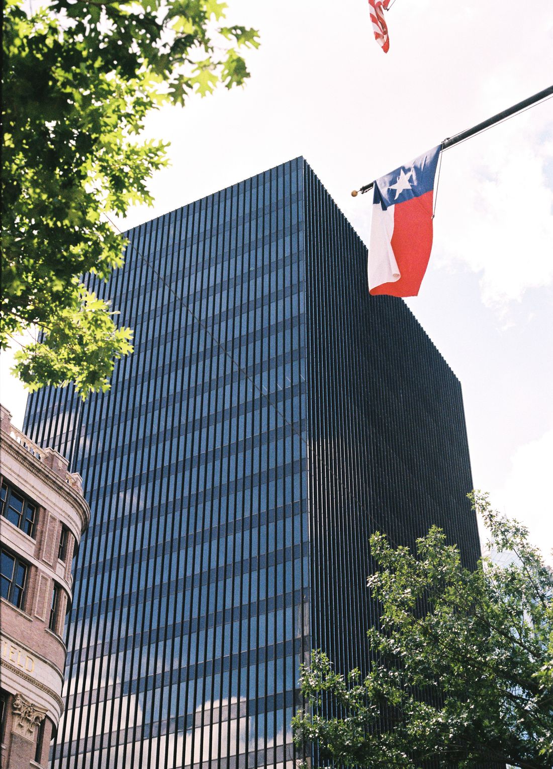 A downtown Austin office tower with the Texas flag flying, framed by oak branches