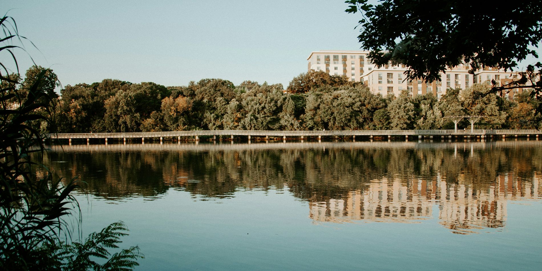 A tree-lined bank and the buildings above it mirrored in still water at golden hour